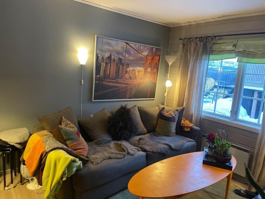 Apartamento Koselig Leilighet , Med Parkering Og Ski In &Out. Oppdal Exterior foto