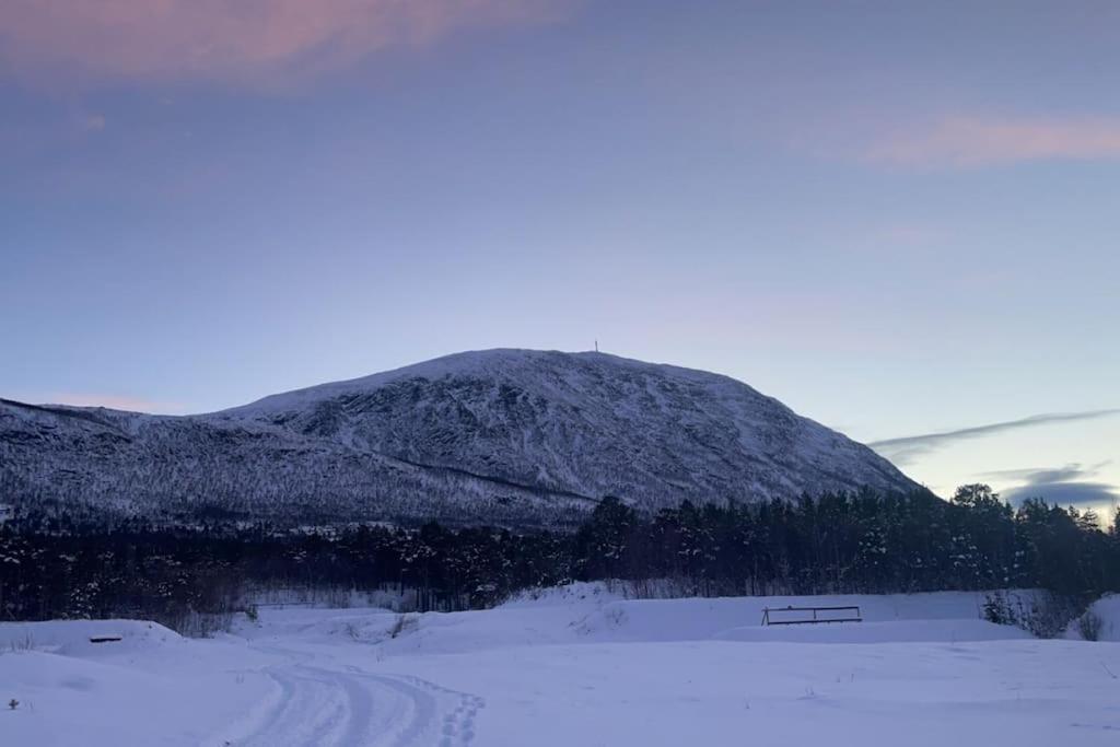 Apartamento Koselig Leilighet , Med Parkering Og Ski In &Out. Oppdal Exterior foto